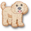 B’golden Doodle Puppy Jibbitz Shoe Charm’