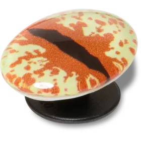 Hazel Animal Eye Jibbitz™ Charms