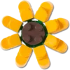 Lego® Sunflower Jibbitz™ Charms Lego® Sunflower Jibbitz™ Charms