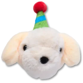 Record Your Own Sound Birthday Jibbitz™ Charms