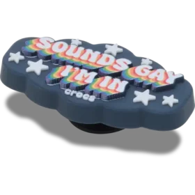 Sounds Gay Im in Jibbitz™ Charms